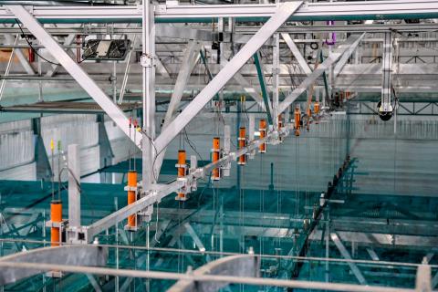 Mise en place de sondes à houle dans le bassin d'hydrodynamique et de génie océanique
